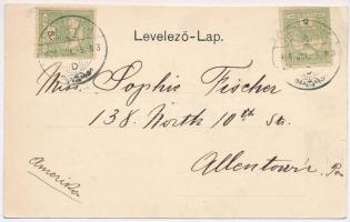 1906 Homonna, Humenné; Heti piac. Fejes Jakab kiadása / market (vágott / cut)