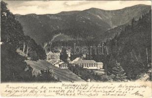 1905 Koritnyica, Korytnica; látkép. Feitzinger Ede kiadása No. 796L. / general view (kis szakadás / small tear)
