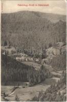 1907 Feketehegyfürdő, Feketehegy, Cernohorské kúpele (Merény, Vondrisel, Nálepkovo); Feketehegy-fürdő és Bükköstető. Lomnitzy V. kiadása / general view (EK)
