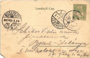 1902 Csíz, Csízfürdő, Kúpele Cíz; Igazgatói lak udvarral. Fogel Mór kiadása / directorate's apa...