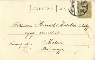 1904 Versec, Versecz, Werschetz, Vrsac; Római katolikus templom. Özvegy Kirchner J. E. kiadása / Röm...