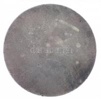 Székely Károly (1882-1941) 1917. "Hadirepülőgépkiállítás érme - Budapest 1917" egyoldalas,...