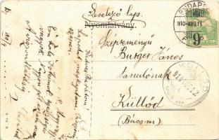 1910 Budapest I. Királyi vár, gőzhajó (Rb)