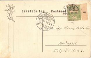 1905 Lőcse, Levoca, Leutschau; Városház és árkádok, piac. Feitzinger Ede No. 951. L. 1905 / town hal...