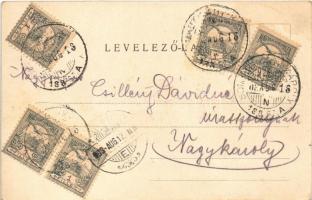 1903 Erdőd, Károlyierdőd, Ardud (Szatmár); Szatmár-Erdődi h.é. vasút, Petőfi torony, gőzmozdony, von...