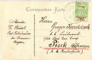 1915 Nemsó, Nemsova (Felsőszúcs, Horná Súca); Antonstál Vadászkastély. Pagat ultimo! / hunting'...