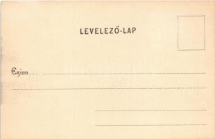 Beregszász, Beregovo, Berehove; Vármegyeház, Auer K. házának a "Vérke" folyóra néző része ...