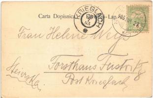 1905 Kamarcsa, Novigrad Podravski; templom, tér, M. Goldschmidt üzlete / church, square, shop (EK)