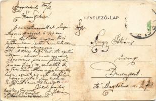 Nagyszalonta, Salonta; Toldi Miklós tér, Központi szálloda és vigadó, férfi és gyermek ruha raktár, ...