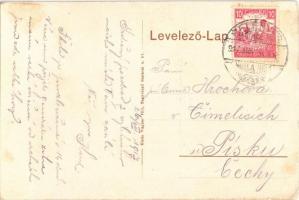 1917 Belényes, Beius; Görög katolikus fiú internátus és polgári leányiskola, Püspöki lak / schools, ...