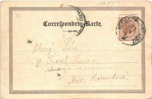 1897 (Vorläufer) Bystrice pod Hostynem, Bistritz am Hostein; Gnadenkirche, Schloss, Curhaus, Jagdhau...