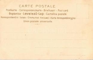 Szívhölgy. Magyar szecessziós művészlap / Hungarian Art Nouveau. Serie 540. No. 6. litho s: Basch Ár...