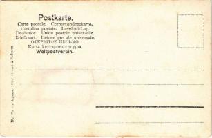 Sátoraljaújhely, Rákóczi ünnepség (Nyári mulatság felirat a zászlón) június 14-én, lovas felvonulás....