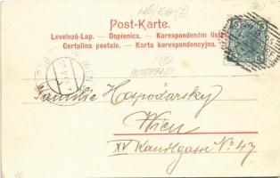 1905 Gruss aus dem Steinfelder-Lager! Festungs-Batterie im Feuer. Nr. 19. Alex J. Klein, Wien / Oszt...