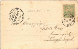 1902 Borszék, Borsec; Szini Villa