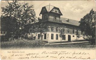 1908 Borszék-fürdő, Baile Borsec; Székház / Ortsamt / Villa (EK)