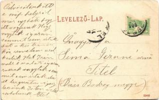 1908 Borszék-fürdő, Baile Borsec; Székház / Ortsamt / Villa (EK)