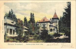 1906 Borszék, Borsec; Urmánczy és Török villa. Soos kiadása 1541. / villas