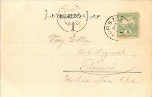 1906 Borszék, Borsec; Urmánczy és Török villa. Soos kiadása 1541. / villas