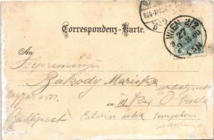 1900 Wien, Vienna, Bécs; K.u.k. Hof Oper von der Operngasse. Art Nouveau, floral, litho (Rb)