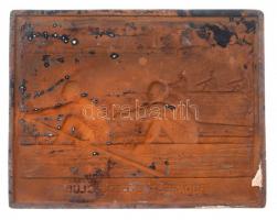 Csillag István (1881-1968) ~1930. "Budapest Evezős Club" nagyméretű evezős sport Br lemezp...