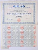 Franciaország / Párizs 1921. SIDUS Compagnie Pétroliére Franco-Roumaine (SIDUS Francia-Román Olajtársaság) részvény 250Fr-ról, szelvényekkel, felülbélyegzéssel T:I- / France / Paris 1921. SIDUS Compagnie Pétroliére Franco-Roumaine share about 250 Francs with coupons and overprints C:AU