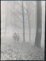 cca 1960 Bence Pál (1913-1989) budapesti fotóriporter, fotóművész, szakíró hagyatékából 1 db jelzés nélküli vintage fotó (Kirándulók), 24x17,5 cm