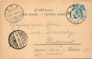 1900 Dubrovnik, Ragusa; An Bord des österr. Lloys-Dampfers Stephanie. Auf hoher See XXXII/10. Wiener...