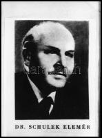 Gyógyszerész orvosok portré felvételei, ismeretlen képi forrásokról készült 9 db NEGATÍV, Fekete Gyö...