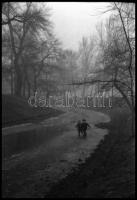 cca 1940 Budapest, városképek, hangulatok, 10 db vintage NEGATÍV Danassy Károly (1904-1996) budapest...