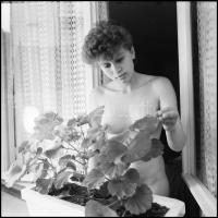 Mellbőség, Menesdorfer Lajos (1941-2005) budapesti fotóművész hagyatékából 9 db vintage NEGATÍV, ame...