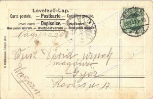 1907 Dr. Herzl Tivadar, a cionizmus megalapítója, dombornyomott / Dr. Theodor Herzl, father of moder...