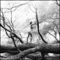 1987 Mint a mókus fenn a fán..., Menesdorfer Lajos (1941-2005) budapesti fotóművész hagyatékából 5 db vintage NEGATÍV, 6x6 cm