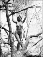 1987 Mint a mókus fenn a fán..., Menesdorfer Lajos (1941-2005) budapesti fotóművész hagyatékából 5 d...