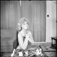 Több fotómodell, sokféle egyéniség, változó helyszínek, eltérő időpontok, Menesdorfer Lajos (1941-20...