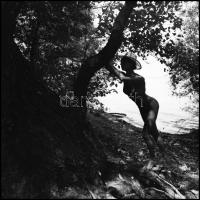 Több fotómodell, sokféle egyéniség, változó helyszínek, eltérő időpontok, Menesdorfer Lajos (1941-20...