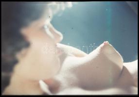 Lányok, asszonyok felszabadult boldog pillanatai, eltérő időpontokban készült akt felvételek, 5 db v...