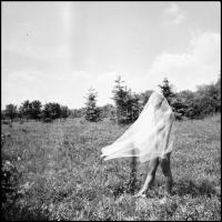 Különféle helyszíneken, eltérő időpontokban és több aktmodell közreműködésével készült felvételek, M...