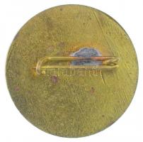 ~1980. "Kodály Zoltán Gimnázium Pécs 1975" műgyantás fém jelvény T:1-