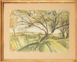 Udvary Pál (1900-1987): Kamara erdő. Akvarell, papír, jelzett, üvegezett keretben. 28×40 cm