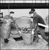 1969 Halászokról készült fotóriport, Kotnyek Antal (1921-1990) budapesti fotóriporter hagyatékából 1...