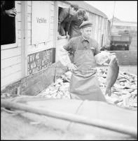 1969 Halászokról készült fotóriport, Kotnyek Antal (1921-1990) budapesti fotóriporter hagyatékából 1...