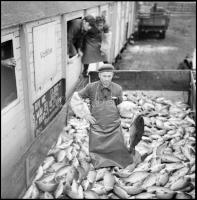 1969 Halászokról készült fotóriport, Kotnyek Antal (1921-1990) budapesti fotóriporter hagyatékából 1...