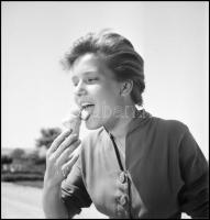 cca 1970 Moór Marianna feliratú negatívtartó tasakban 15 db vintage NEGATÍV Kotnyek Antal (1921-1990...