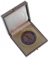 Bakos Ildikó (1948- ) ~1990. "Aesculapius / Chinoin Hungaria - Condita 1910" Br emlékérem,...