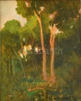 Madarász Gyula (1858-1931): Erdőrészlet. Olaj, papír, jelzett, üvegezett fa keretben, 24×19 cm