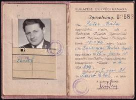 1955 Bp., Budapesti Ügyvédi Kamara ügyvédjelölti fényképes igazolvány