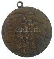 1924. "Igazságügyi Sport Club" Br emlékérem füllel (35mm) T:2