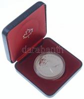 Kanada 1979. 1$ Ag "Griffon-hajó" dísztokban T:BU
Canada 1979. 1 Dollar Ag "Griffon ...