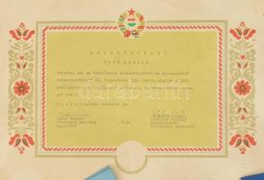 Tóth László traktoros, a szocialista munka hőse különböző igazolványai és iratai